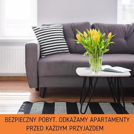 Apartman Little - Malibu *